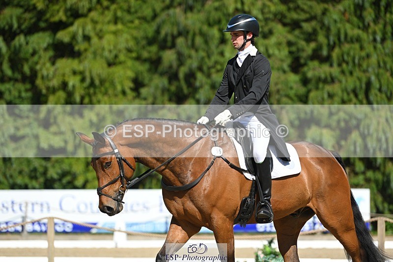 230526-161702-07321 - 255-HI_MR_HENRY-Henry_Hobby-WEDTrotUp+DR