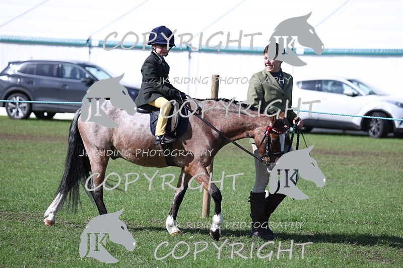 APP_3800 - Class 13 Lead rein