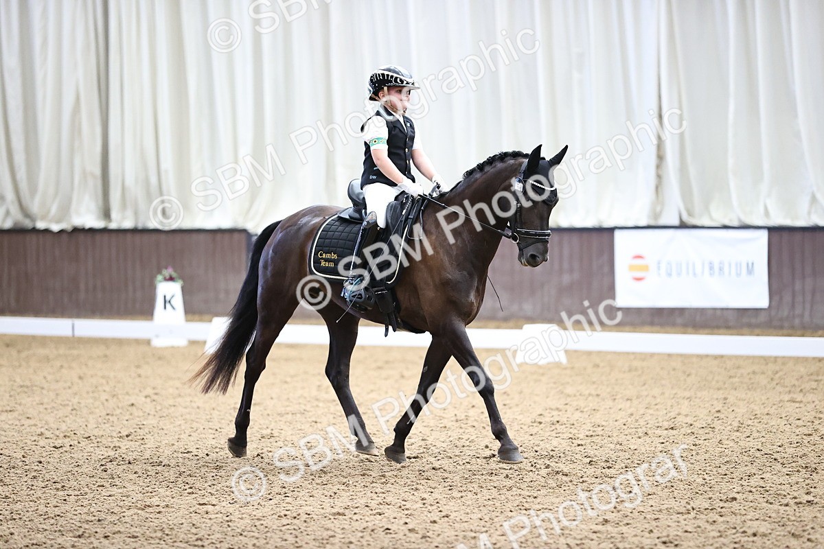SBM_000817 - Novice 4 Warm Up