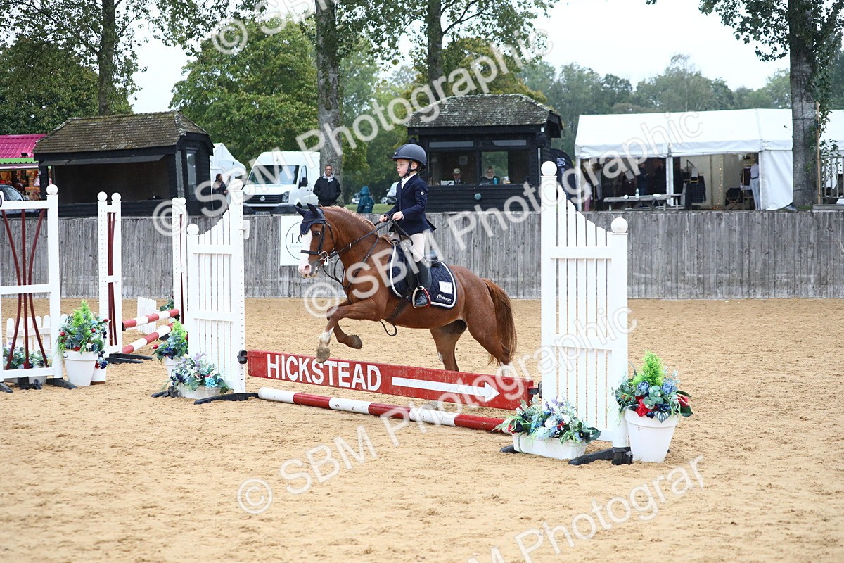 SBM_71563 - J4 - Mini Tour Junior Pony 45cm Championship