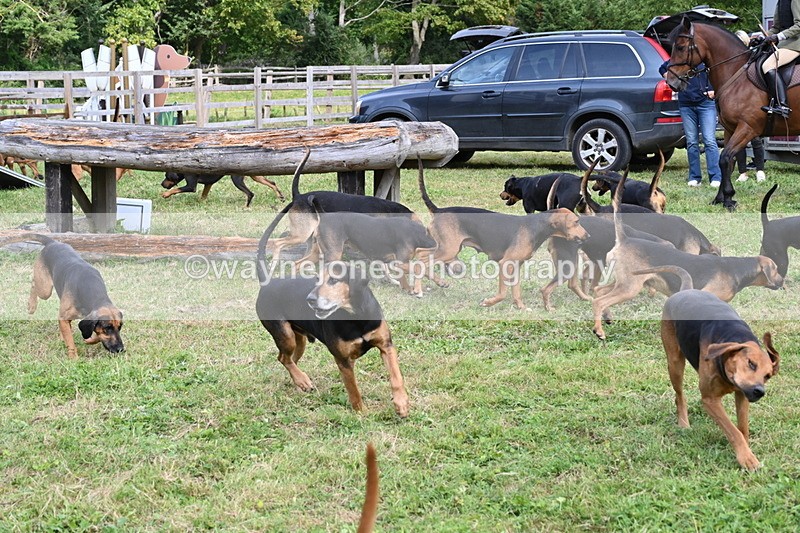 WJ6_3130 - Berks & Bucks - The Old farmhouse - Hound Exercise 20-08-25