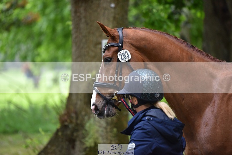 240522-165008-01187 - 263-CHILLI_MORNING_IV-Gemma_Stevens