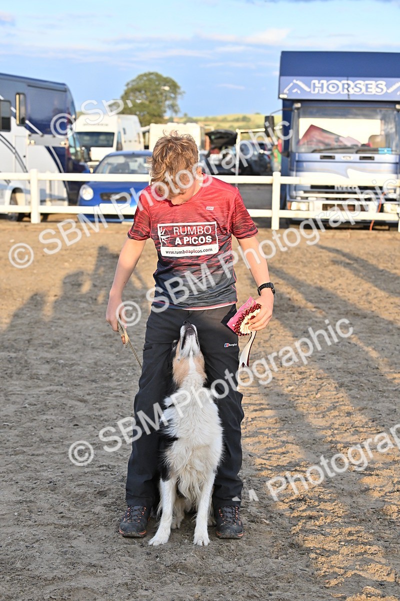 SBM_09715 - Lorry Dogs