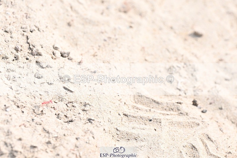 240801A-144636-02177 - Cls 12 Snr Newcomers