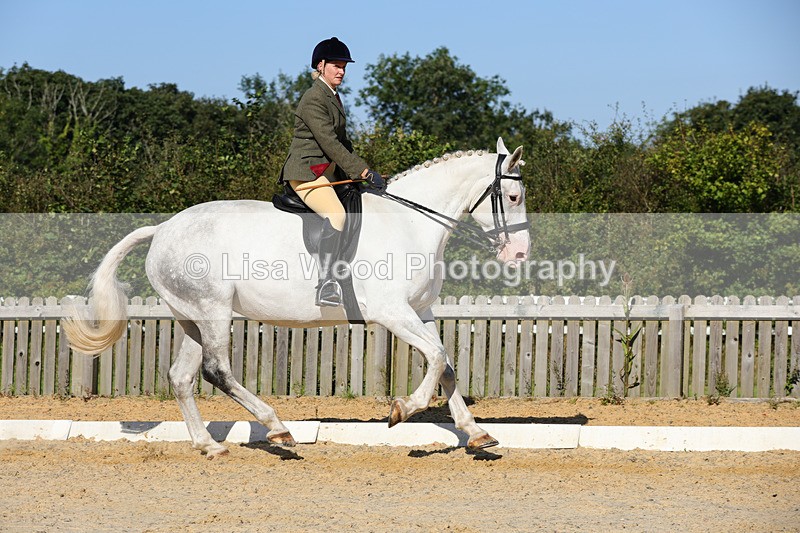 1X9A7757 - Class 9: Open Ridden Hunter