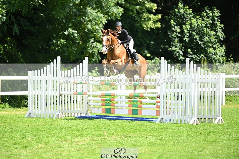250614A-132013-06847 - Cls 20 Foxhunter