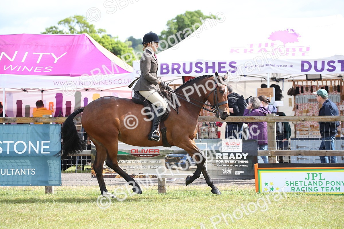 SBM_13212 - Class 95-96 - LIHS BSHA Rising Star Hack Riding Horse