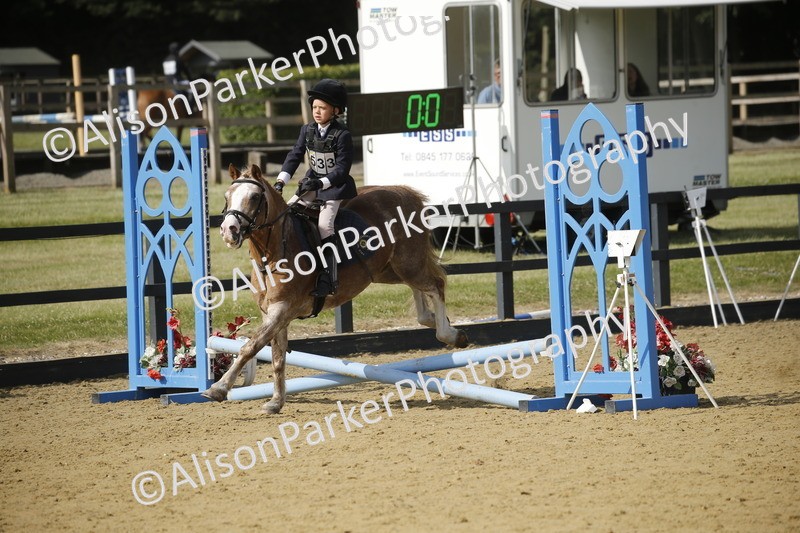 20250622-1566 - 40cm