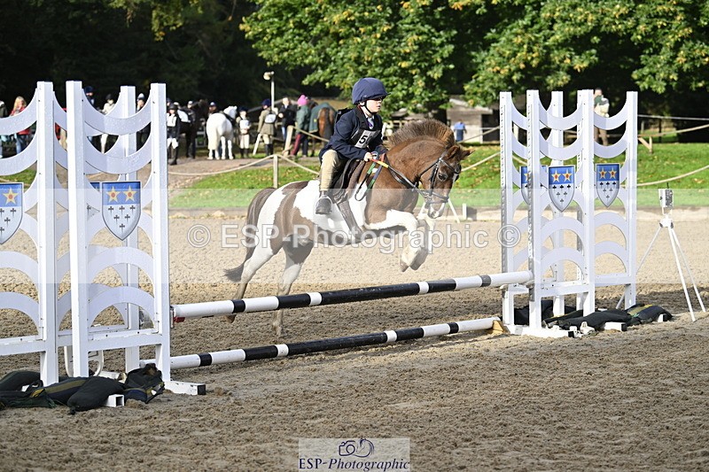 251005A-091533-03015 - Cls 02 GR 50cm