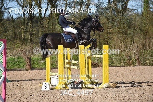 JAC_4497 - CLASS 11 SAT Andrew Hamilton Coach, RHS Foxhunter Championship Qualifier