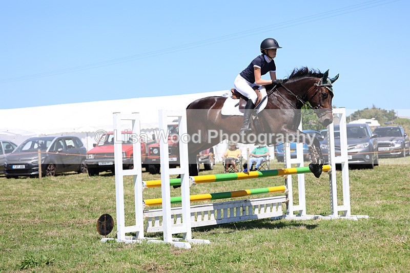 3E7A5513 - Class 9: Senior British Novice/90cm open