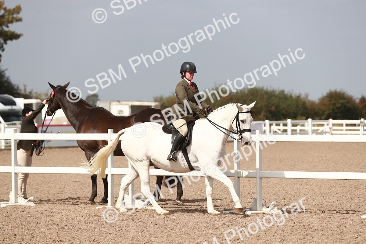 SBM_14830 - Class 212 Ridden Hunter - Small