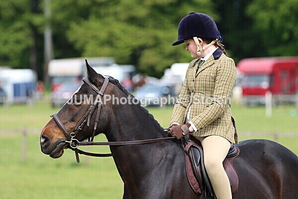 IMG_2669 - Working Hunter