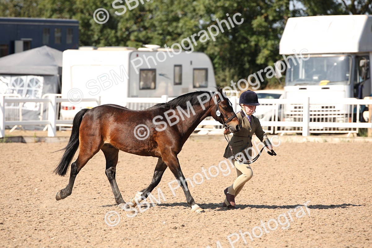 SBM_02674 - Class 16 IH M&M Wildcard