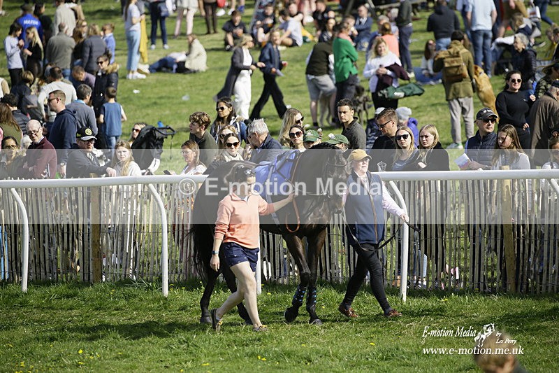 PtP 180422 208 - Old Berkshire PtP Lockinge 18/04/22