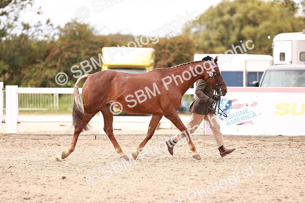 SBM_16282 - Class 413 - Best Condition - Adult