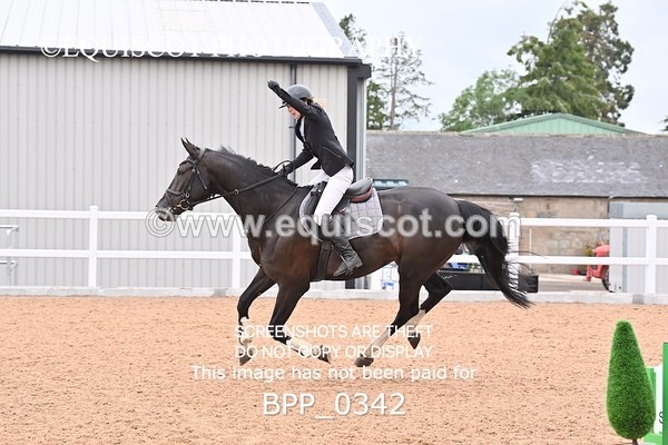 BPP_0342 - CLASS 26 SUN 5 Year Old Non Qualifier