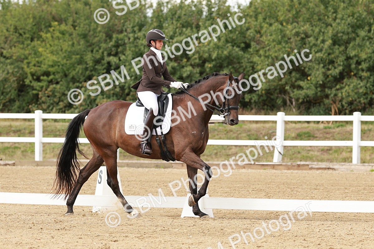 SBM_002392 - Class 11 - Medium 6