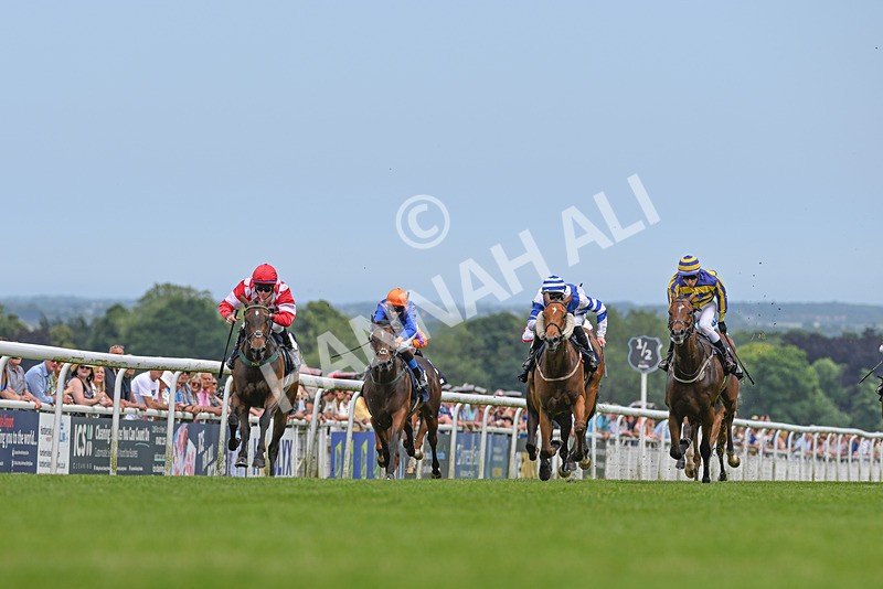 250624-Race 1-Lady Bouquet-8880 - Race 1