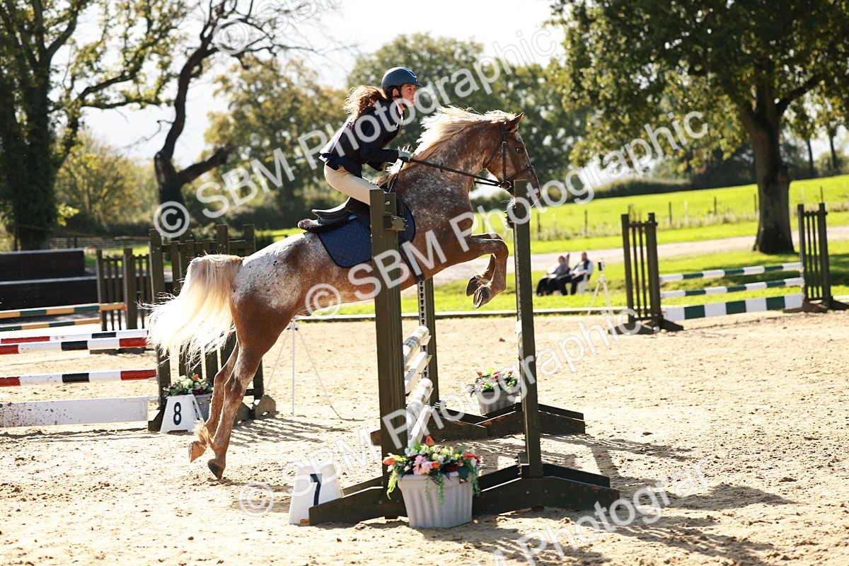 SBM_38001 - J39 - Senior Horse & Pony 85cm Championship