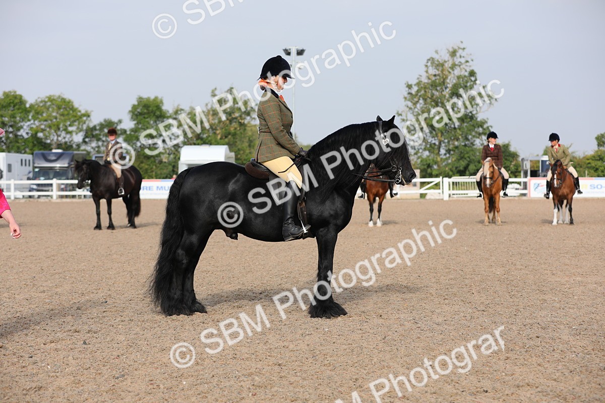 SBM_10116 - Class 302 Ridden M&M -Large Breeds