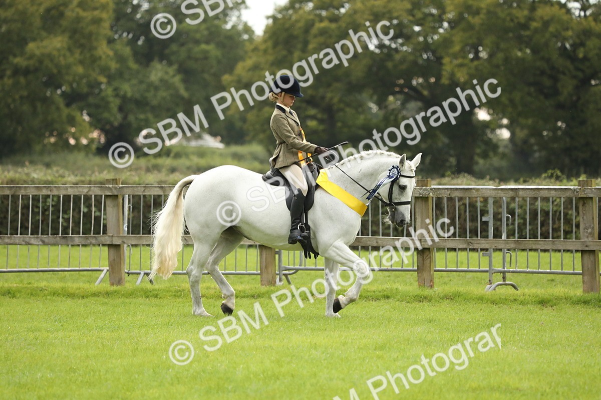 SBM_75430 - Equitation Supreme Championship
