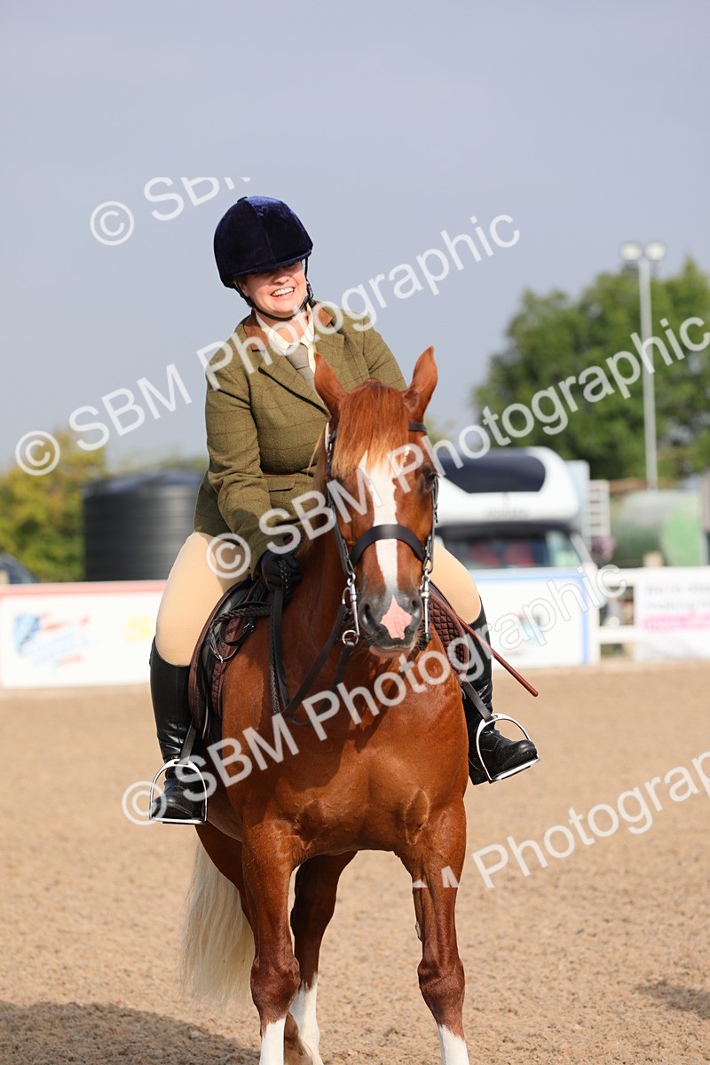SBM_10135 - Class 302 Ridden M&M -Large Breeds