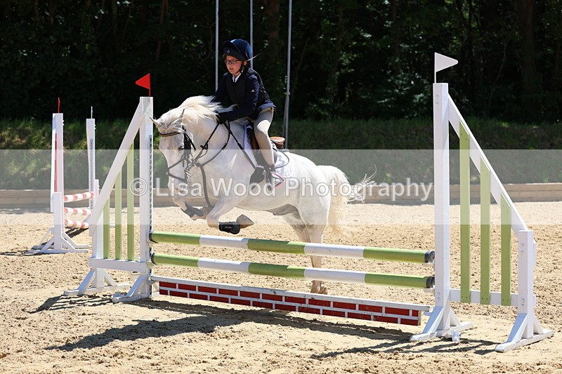 3E7A2353 - Class 4/5: 60cm Open Teams and Individuals