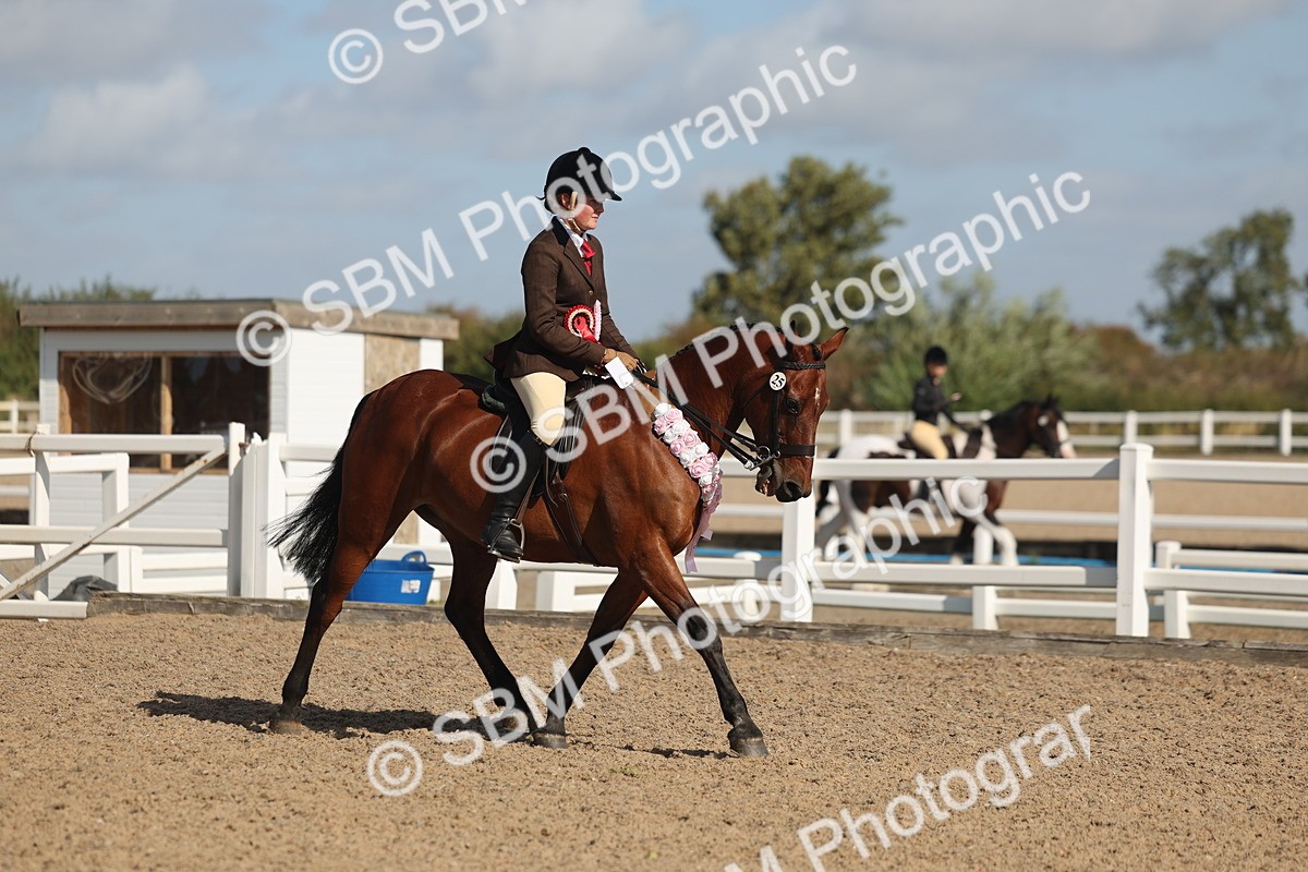 SBM_22647 - Class 804 - Ridden Veteran Pony