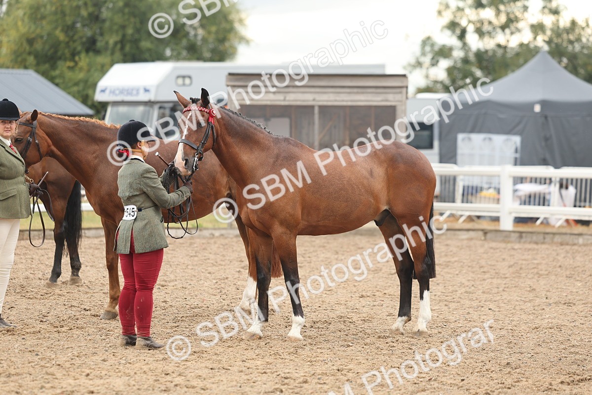 SBM_07772 - Class 27 - IH Competition Horse/Pony