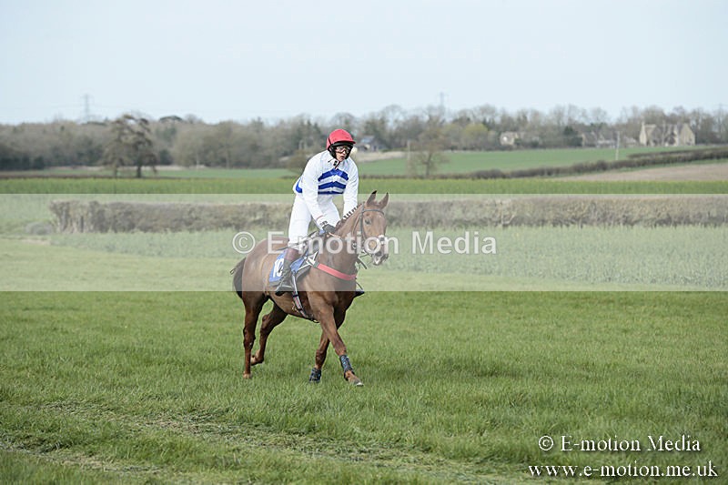 PtP 230319 375 - VWH Hunt Siddington Point-to-Point Racing 23/03/19