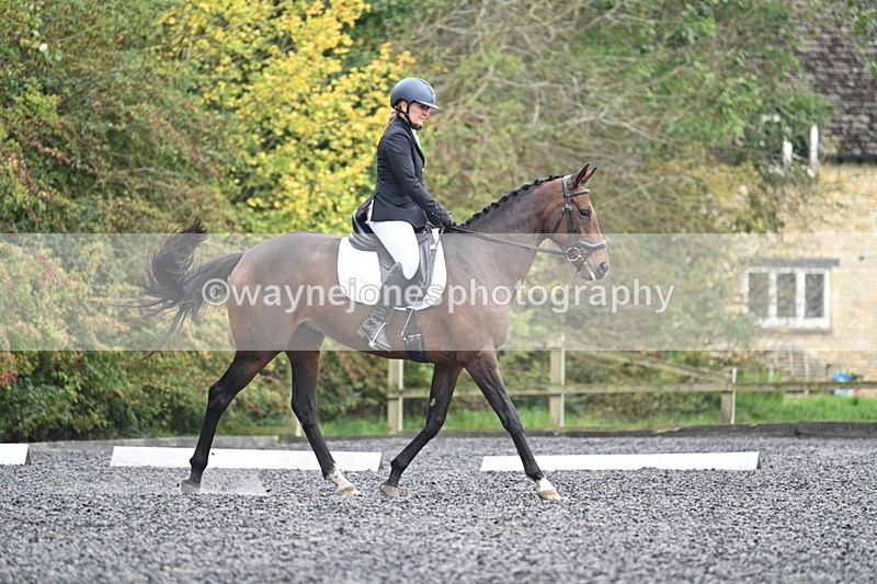 WJ7_3812 - Time 11:04 to 11:38