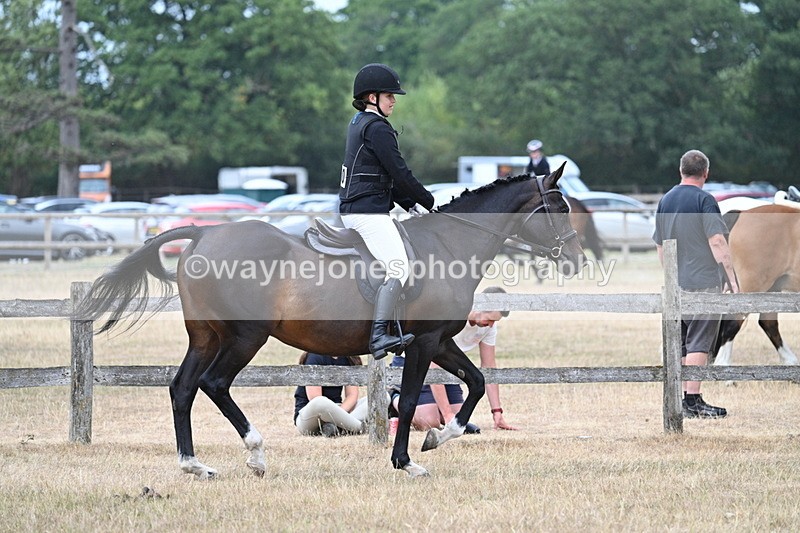 WJ7_1169 - Class 8 Ridden Veterans