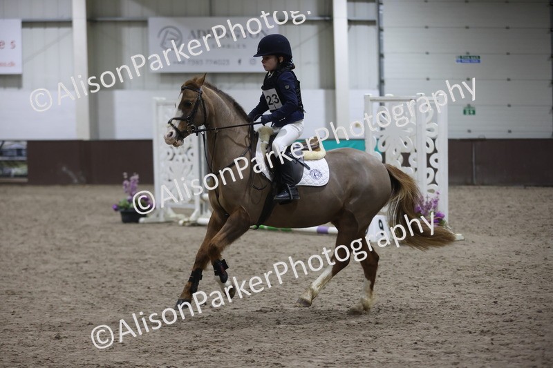 20260125-1087 - Class 2 - 50cm