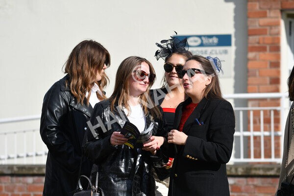 yr22052021r7-50 - Race 7 5.25pm Hudson Quarter York Palace Capital Stakes - Gentleman Amateur Riders Race