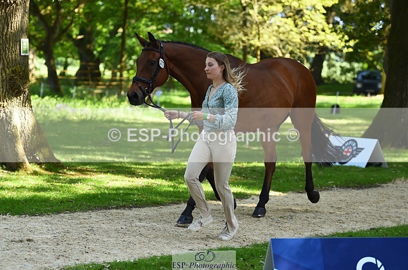 230524-154850-00521 - 377-GOLD_NUGGET-Jillian_Giessen-WEDTrotUp+DR