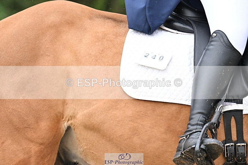 251023A-125118-02012 - C-240-Issy.Hollidge