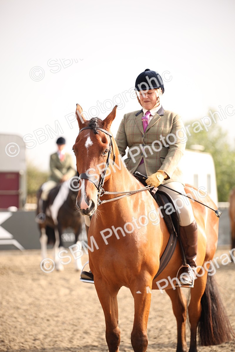 SBM_10271 - Class 402 Riding Club Horse