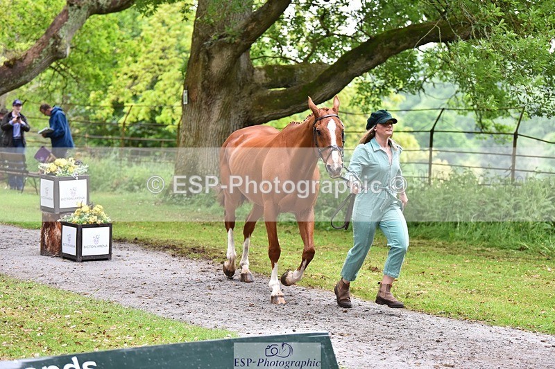 240522-171028-01436 - 251-MILESTONE_GOLD-Gaby_Bull