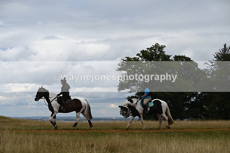 DSC_9298 - Time at Statue 14:33 to 15:10
