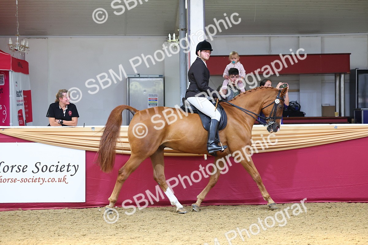 SBM_24047 - Class 905 - Supreme Final - Ridden Veteran