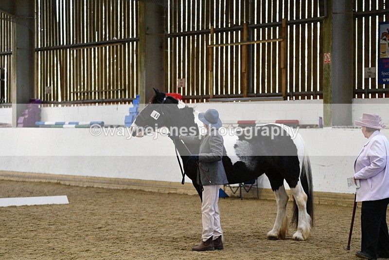 WJ5_4975 - Class 7 In hand coloured / odd coloured