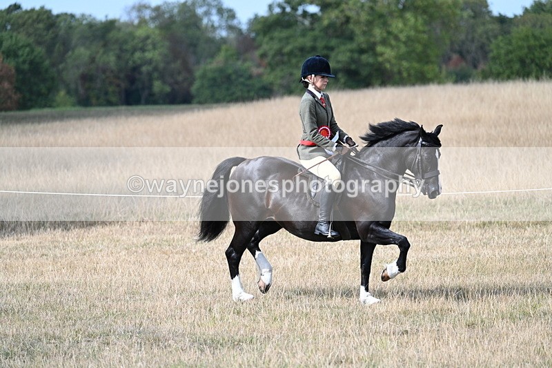 WJ7_7614 - Ridden Championship