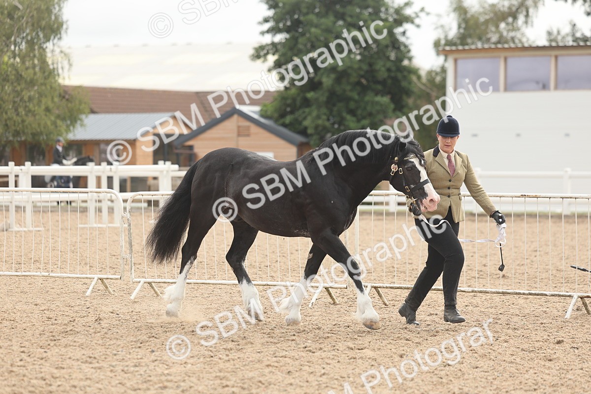 SBM_03202 - Class 16 - IH M&M Wildcard