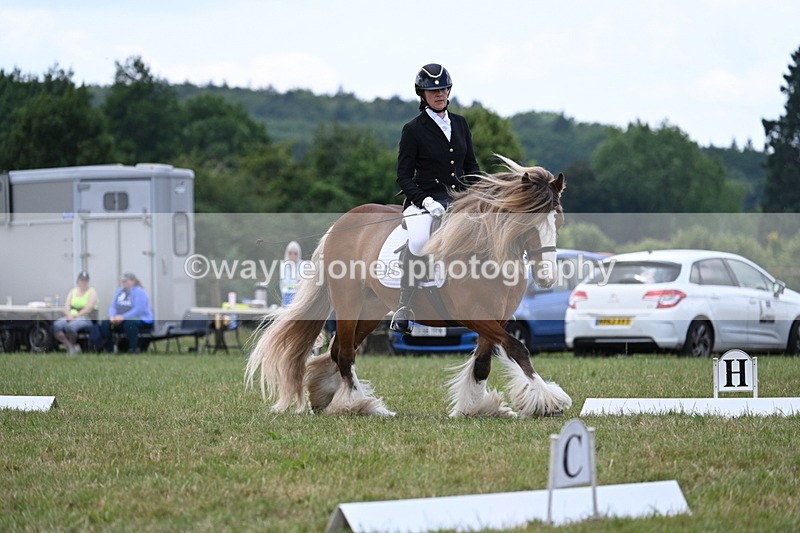 WJ7_6896 - Time 12:45 to 13:01