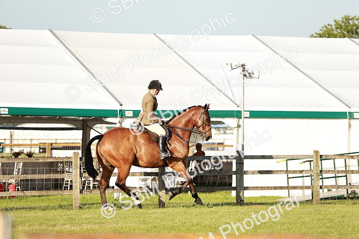 SBM_20459 - Class 117-119 - Sport Horse Working Hunter