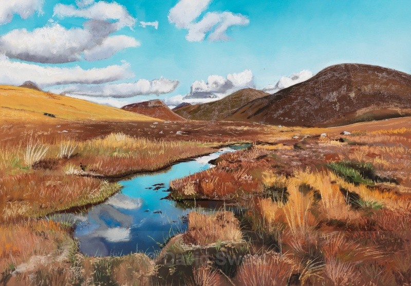 Sleivenaglogh - Paintings