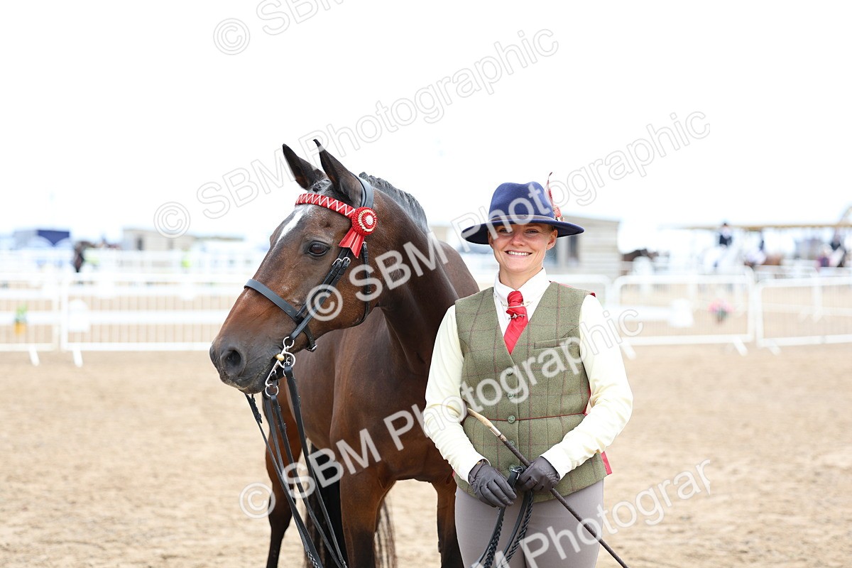 SBM_01480 - Class 17 - Prettiest Mare