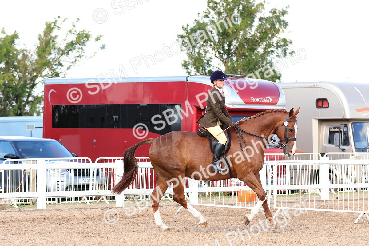 SBM_13483 - Class 212 - Ridden Hunter  - Large