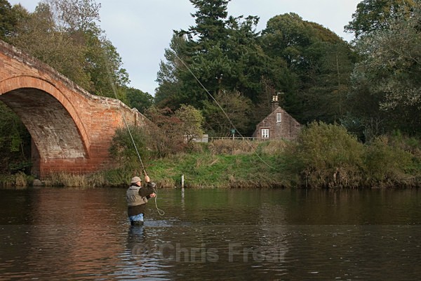 mnaa-1402 - Flyfishing Photography